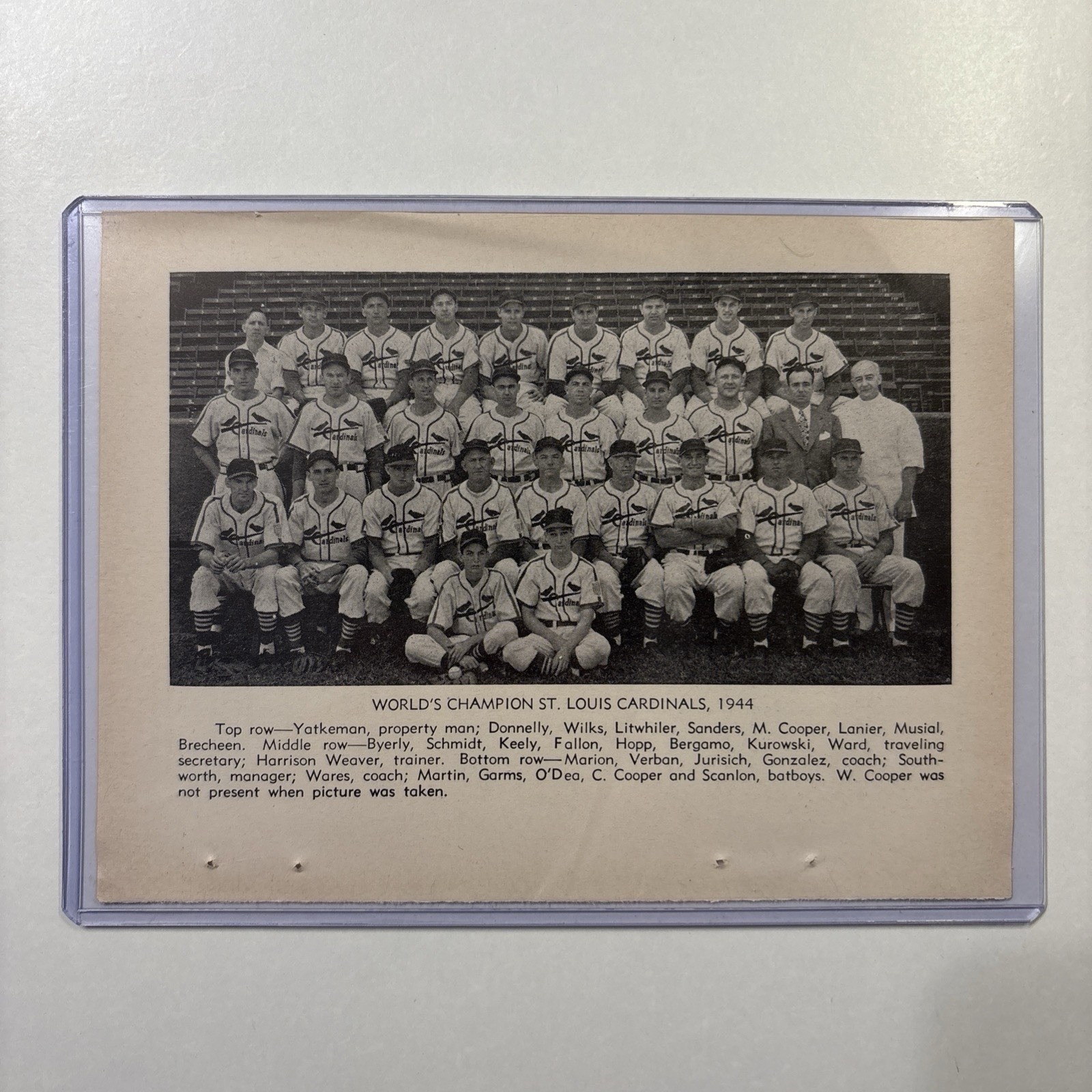 1944 St. Louis Cardinals World Series Team Picture Rare Vintage Baseball Musial