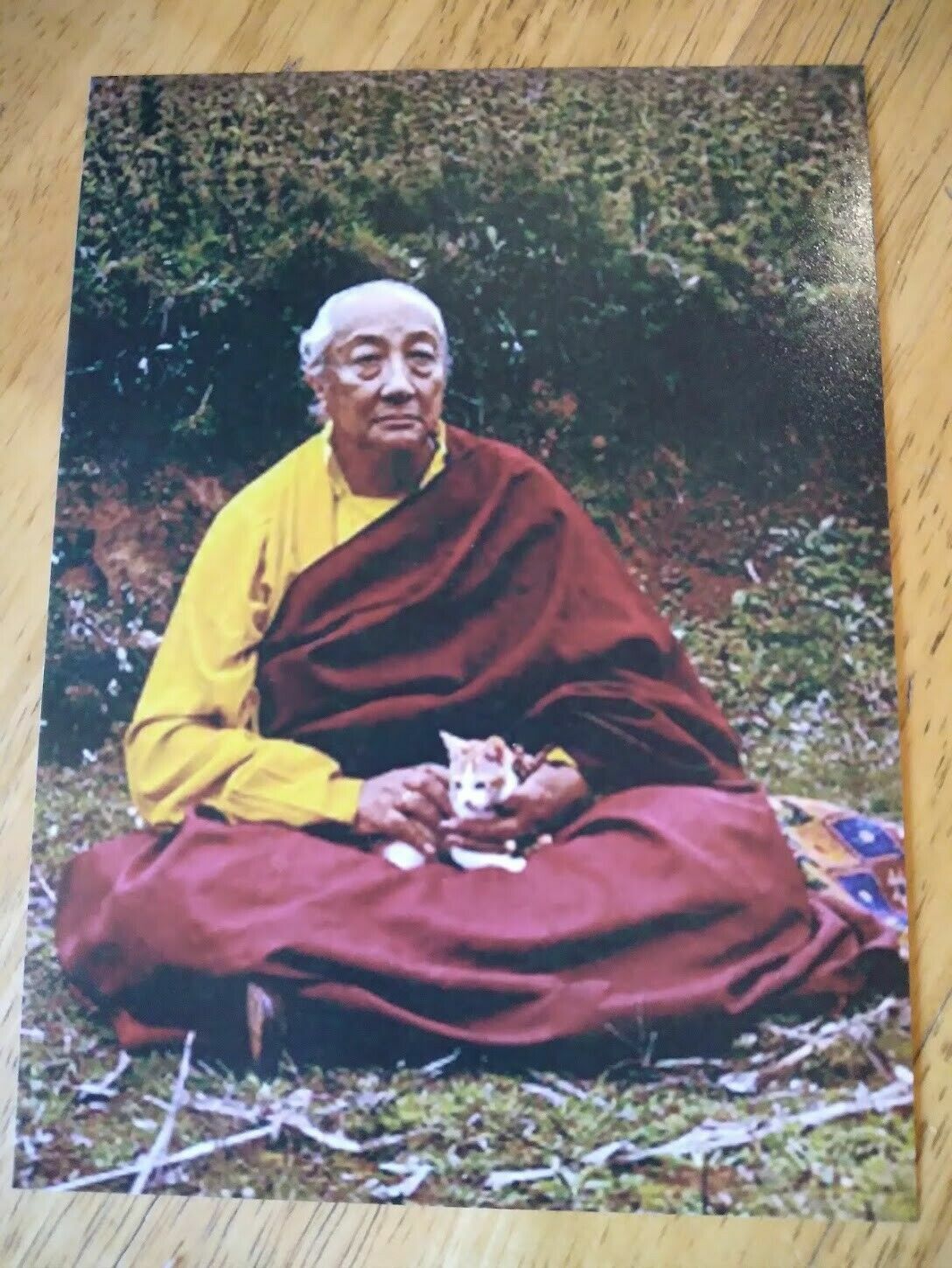 RARE WONDERFUL PHOTO DILGO KHYENTSE RINPOCHE HOLDING A CAT 4\