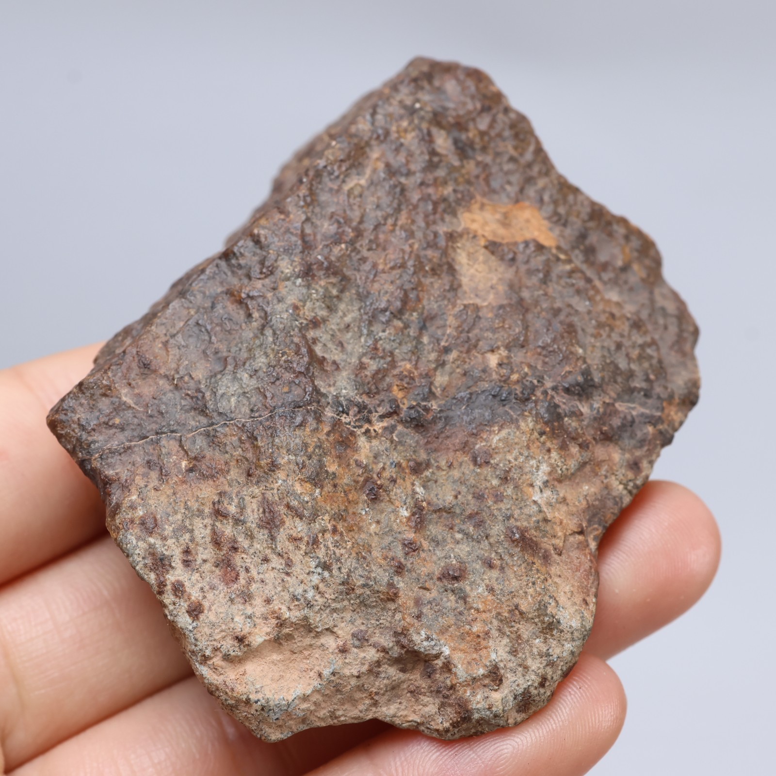 119g Chondrite Meteorite,NWA unclassified Meteorite From Northwest Africa AB523