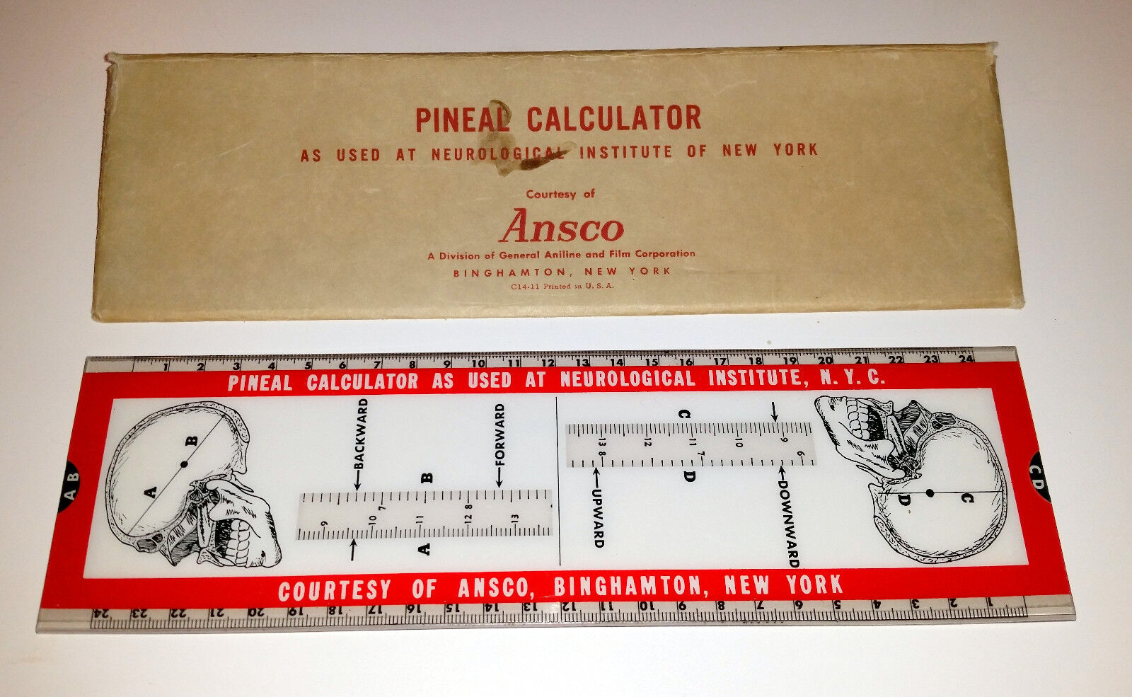 Ansco Pineal Calculator Slide Rule Medical Oddity Neurological Brain VTG RARE 