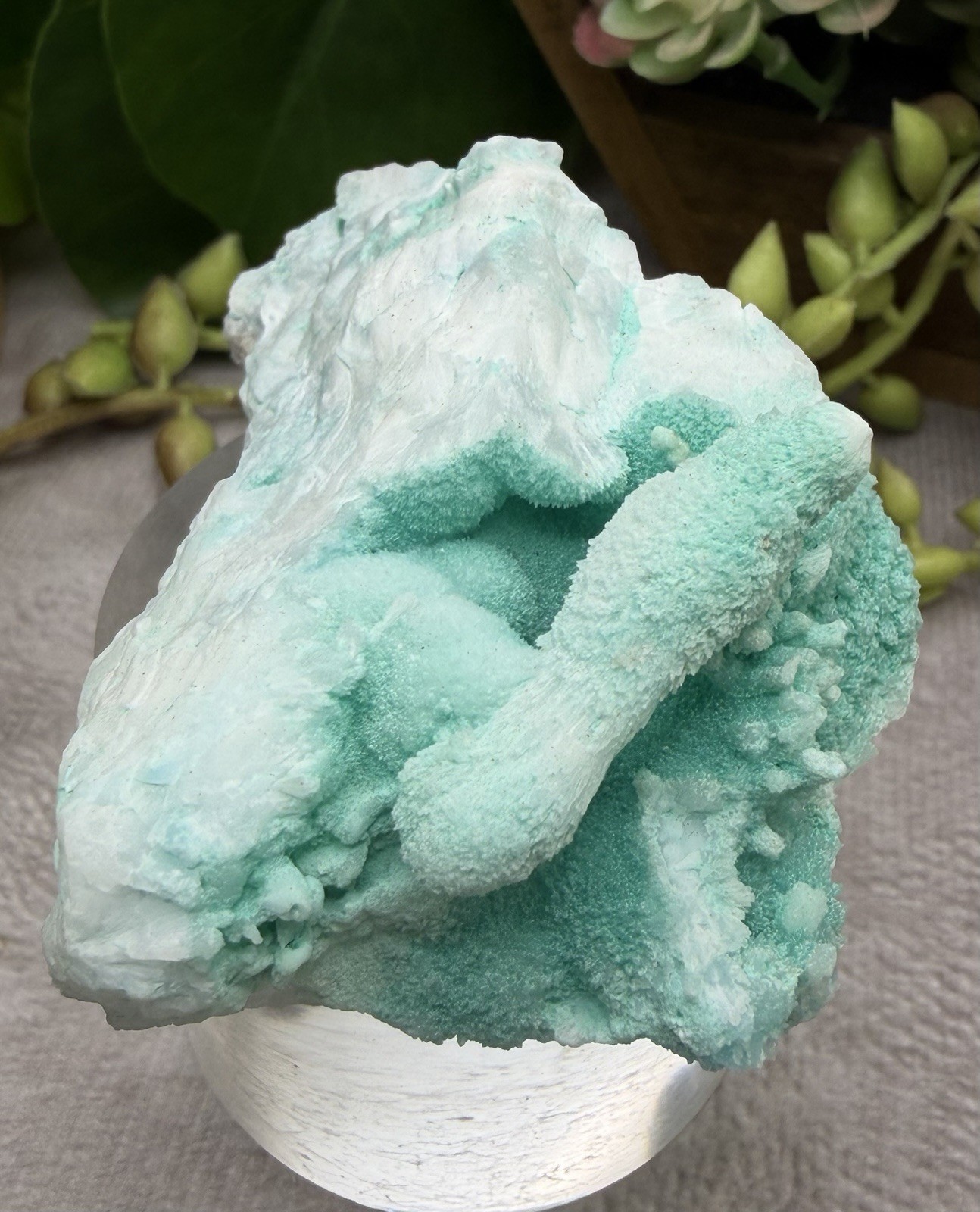 Crystal 78g Beautiful Bright Blue Hemimorphite From Congo Raw Specimen Mineral