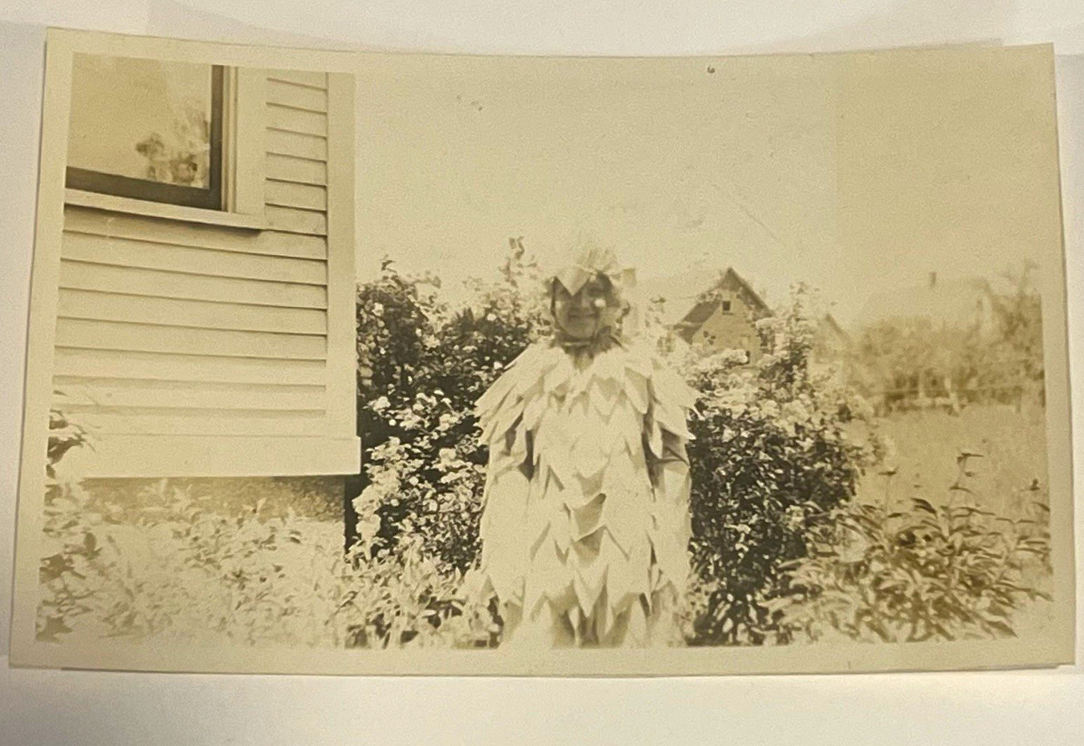 Vintage 1928 Photo Crepe Paper Bird Costume Niagara NY Antique Halloween Oddity