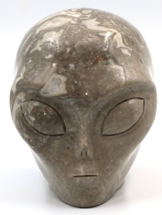 XL Amazing Crocodile JASPER ALIEN Head Mineral SCULPTURE Paperweight Carving