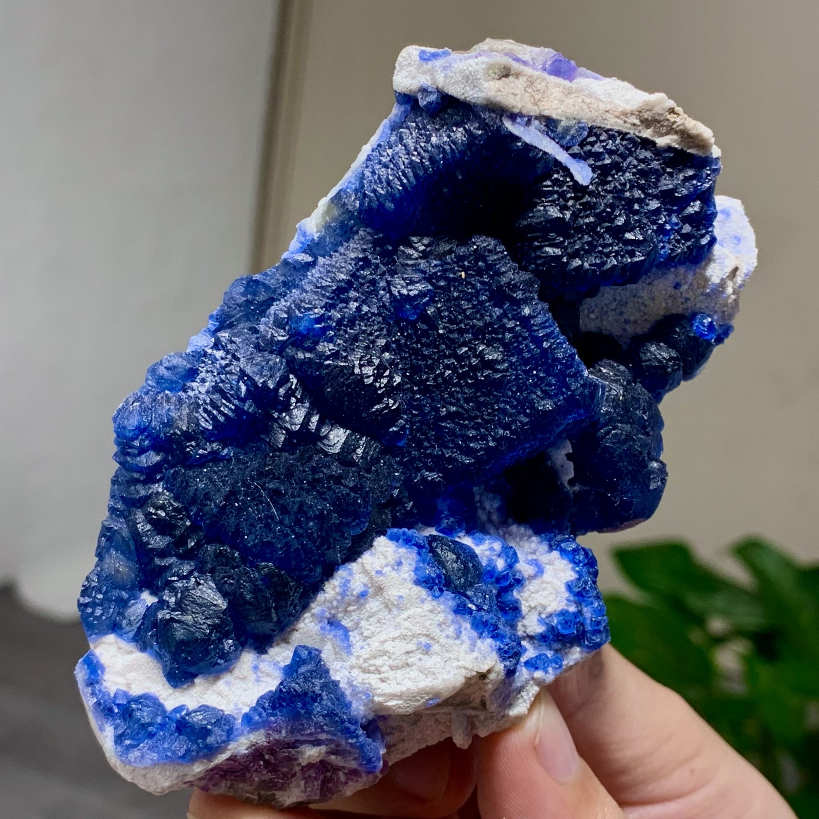 299G Natural Blueberry Fluorite Quartz Cluster Crystal Mineral specimen Healing