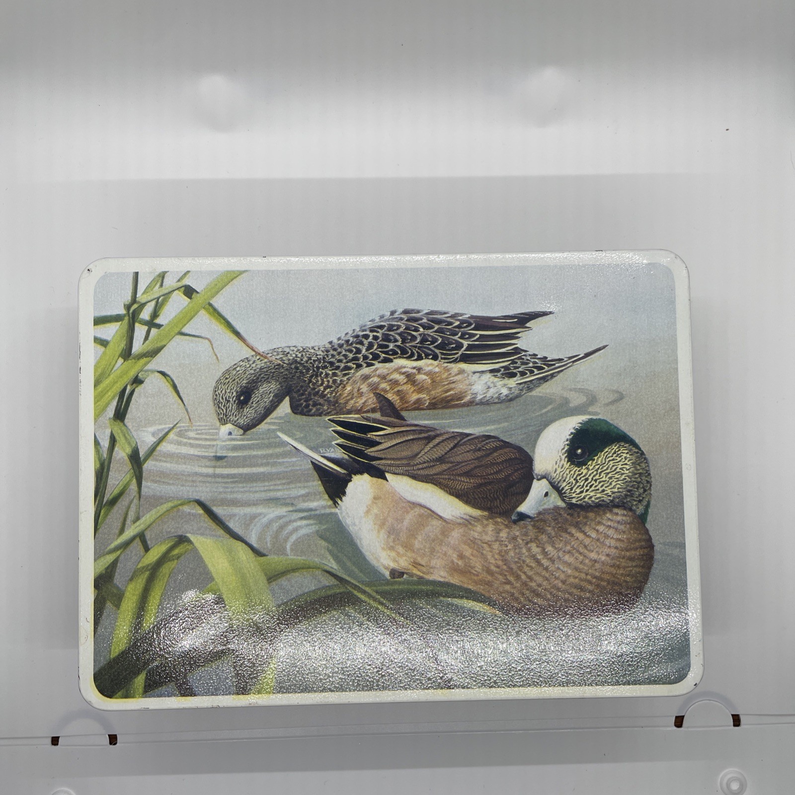 Vintage American Wigeon Duck Wildlife Tin Storage Box Keepsake Box