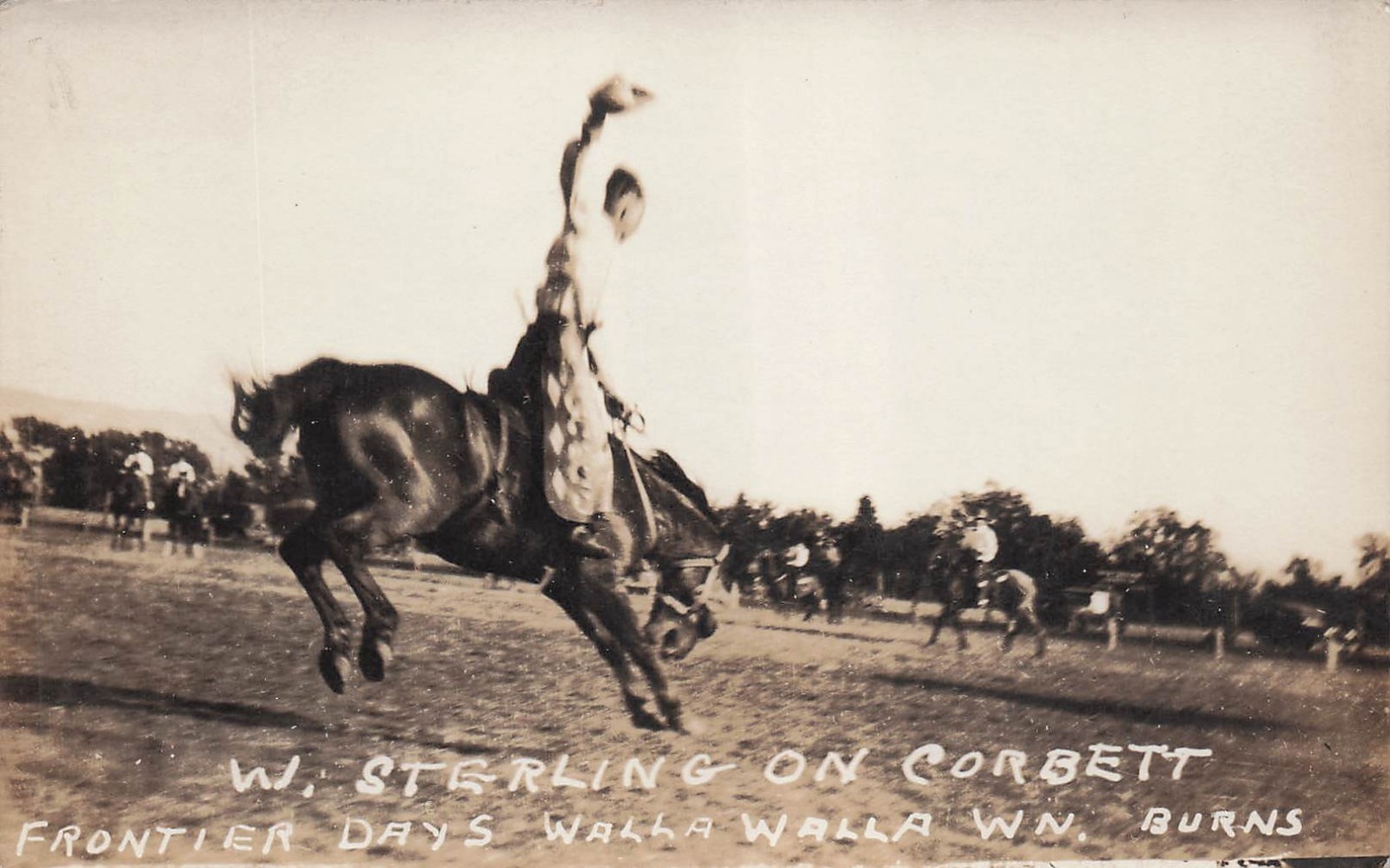 RPPC Walla Walla Frontier Days Rodeo Cowboy Corbett Horse Photo Vtg Postcard 4A