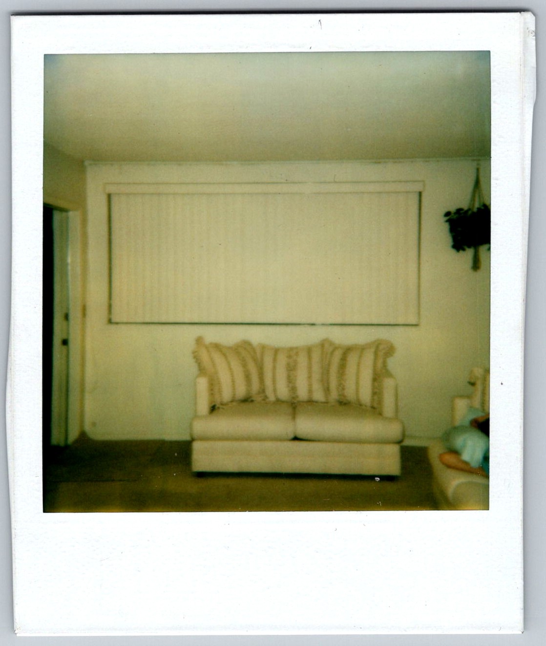 Vtg Polaroid Snapshot Photo Living Room Couch Blinds Hanging Plant Decor Vtg Polaroid Snapshot Photo Living Room Couch Blinds Hanging Plant Decor