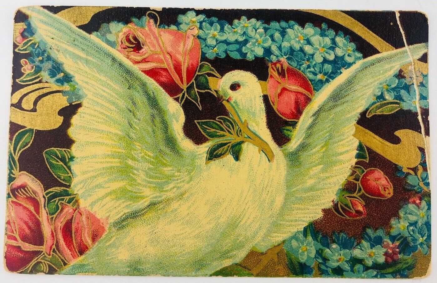 Vintage Greetings Embossed Postcard Peace Dove with Rose 1911