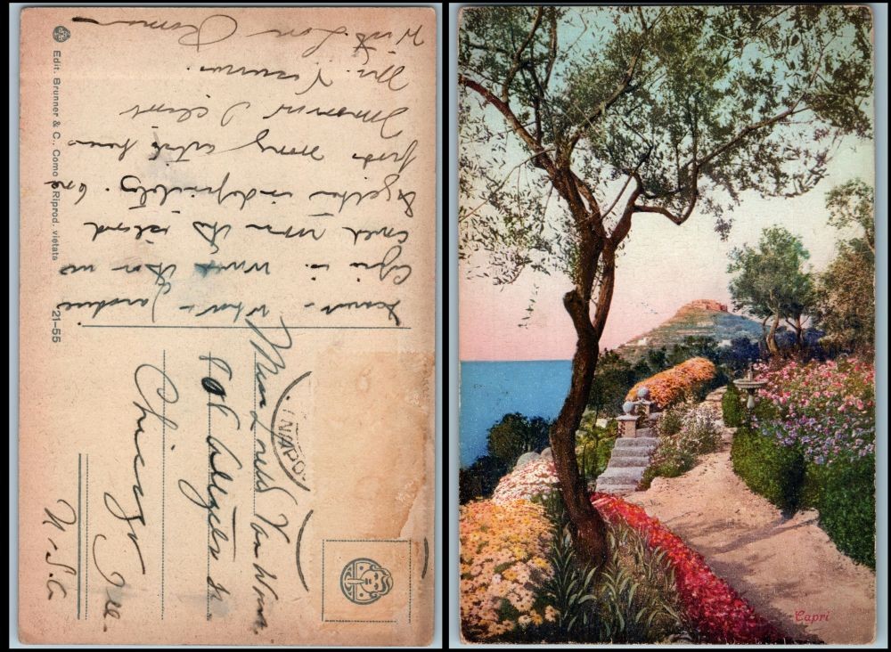 1910s Italy Capri scenic Mediterranean sea view garden Brunner Como postcard