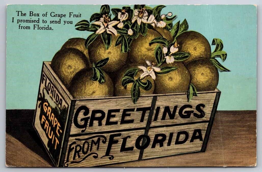 eStampsNet - Greetings from Florida Grape Fruit Box Postcard 