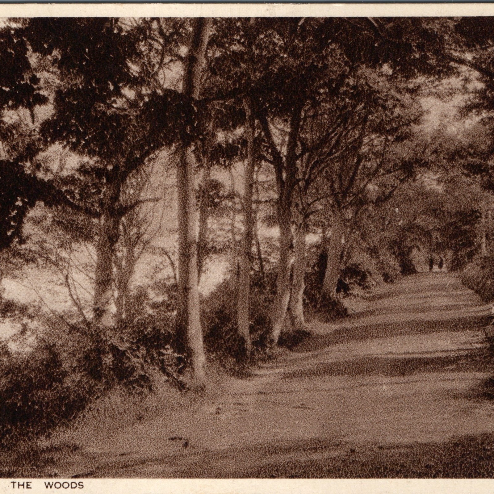 c1945 Weston-super-Mare Somerset The Woods Path Postcard WWII Canadian Army