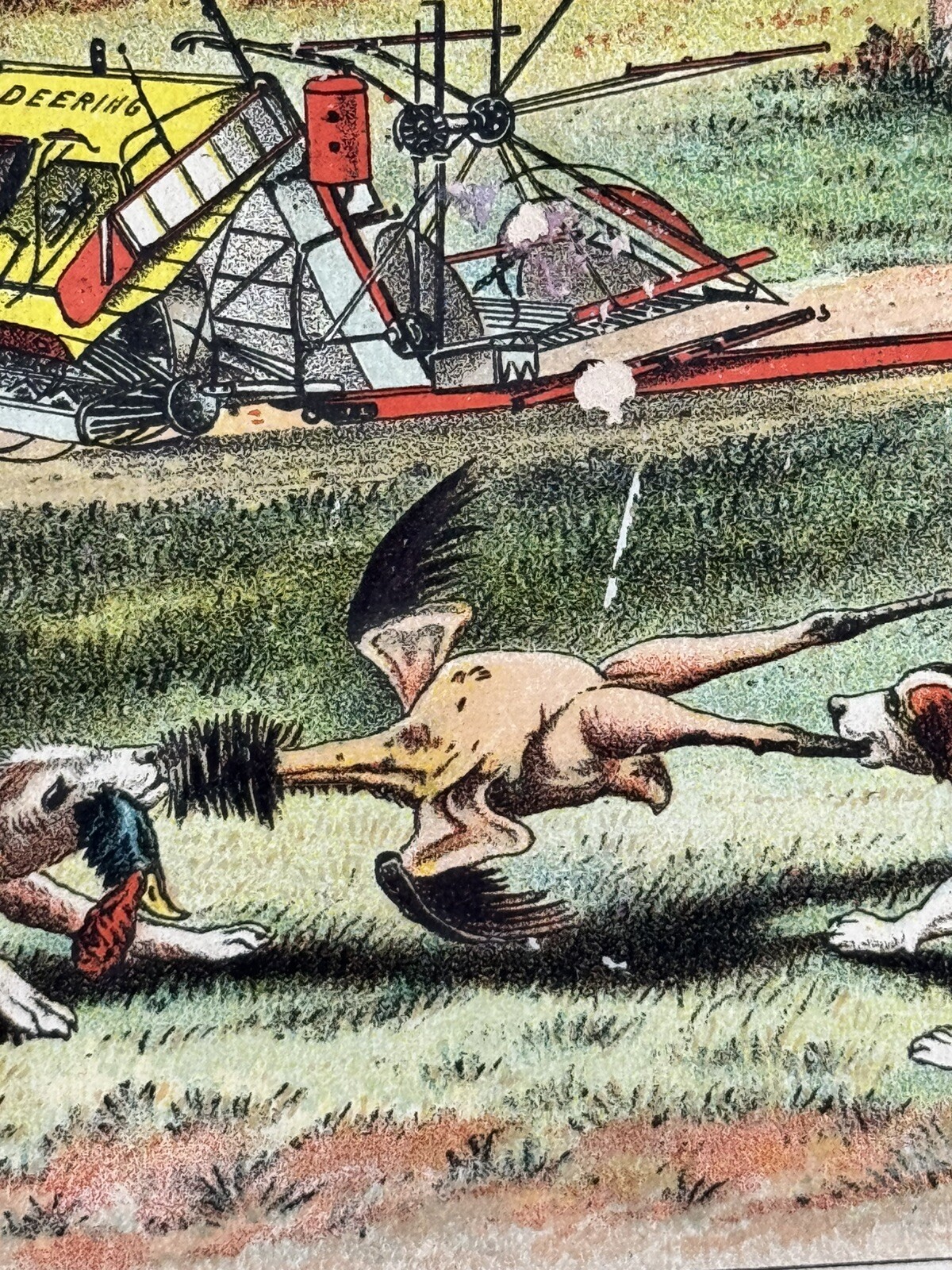 Fantastic Victorian Trade Card \