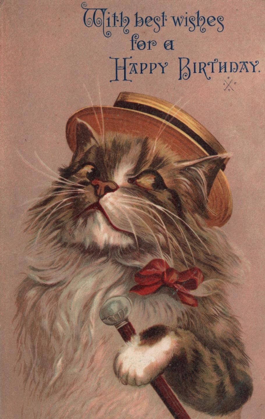 Vintage 1907 Maurice Boulanger Cat Postcard Birthday Straw Hat Cane Broadwater