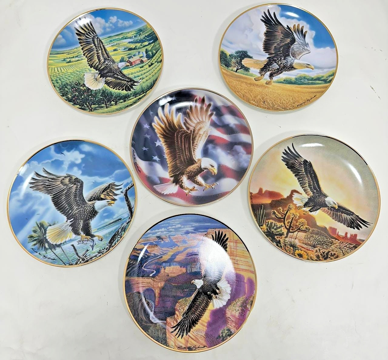 Lot 6 Franklin Mint Ronald Van Ruyckevelt Bald Eagle 8 in Collector Plates Box