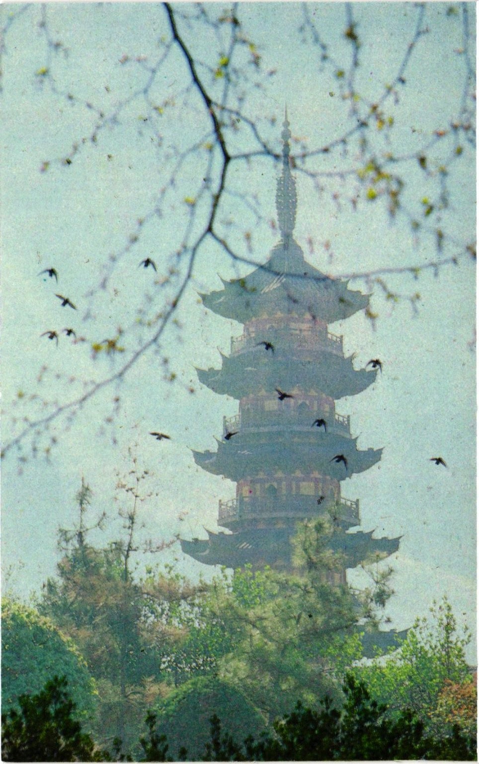 Ancient Longhua Pagoda Shanghai China Birds West Lake Photography Press Postcard