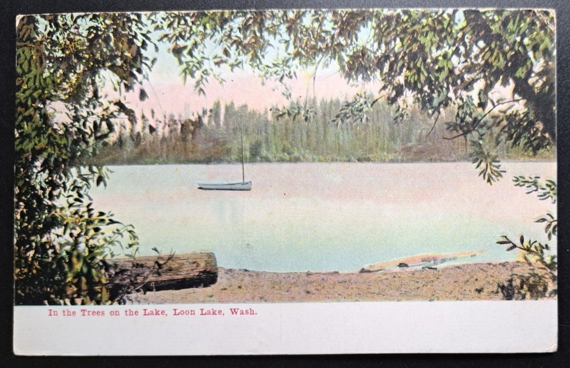Vintage - 1910 In the Trees on the Lake, Loon Lake, Washington - Postcard 