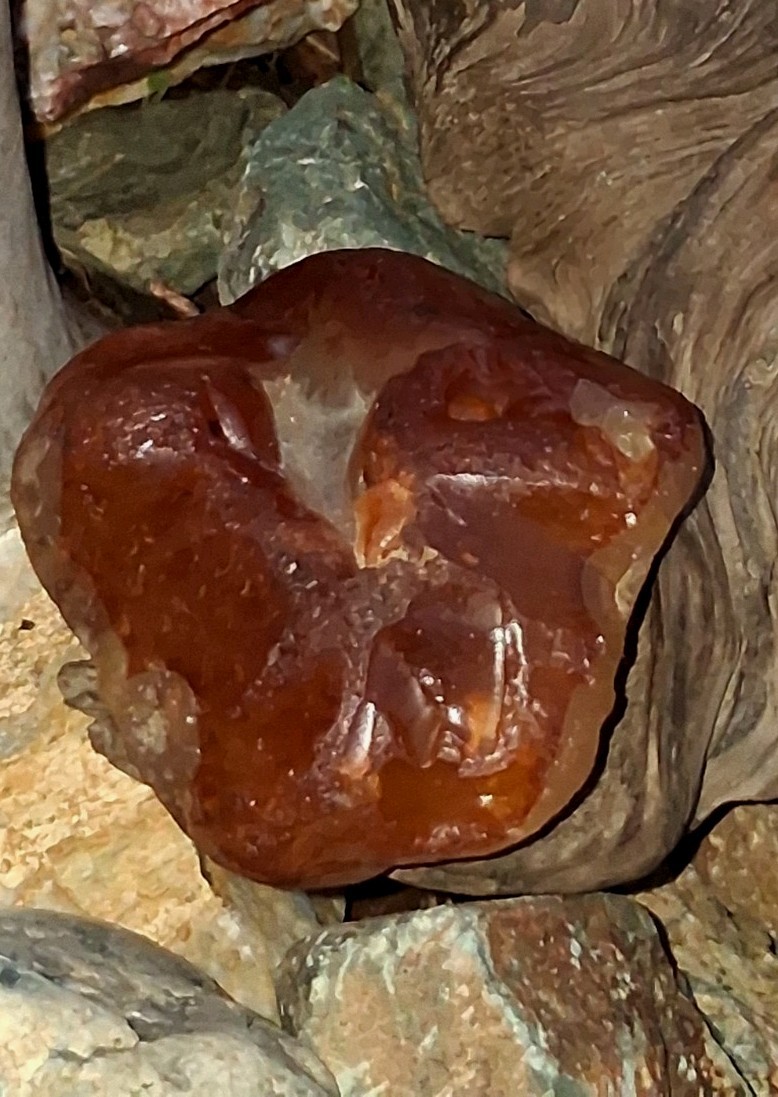 Red-Brown Agate Rough Mineral Specimen for Cabbing Lapidary Natural Gemstone