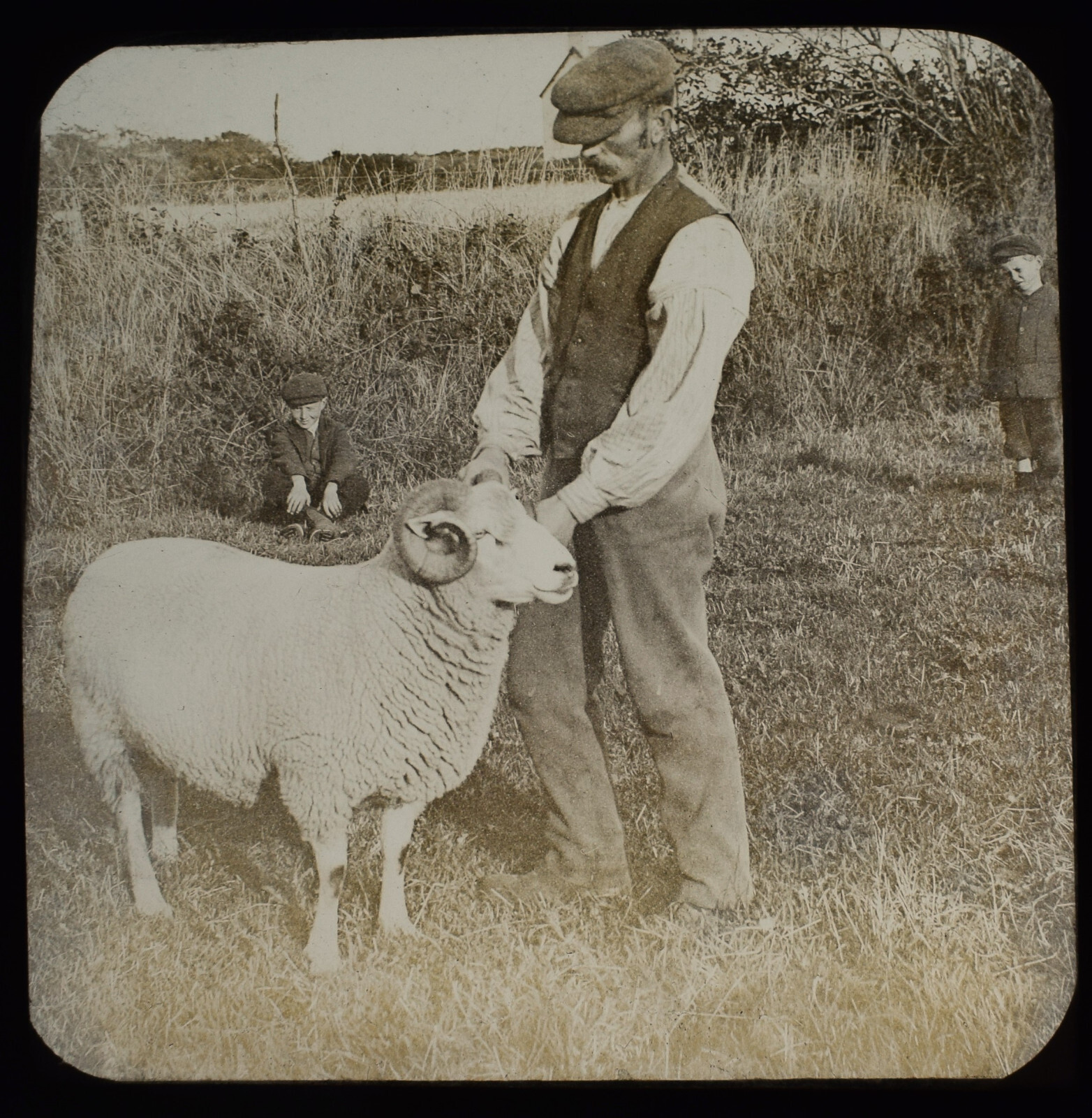 PWLLHELI MAN WITH RAM GWYNEDD WALES DATED 1904 Magic Lantern Slide PHOTO
