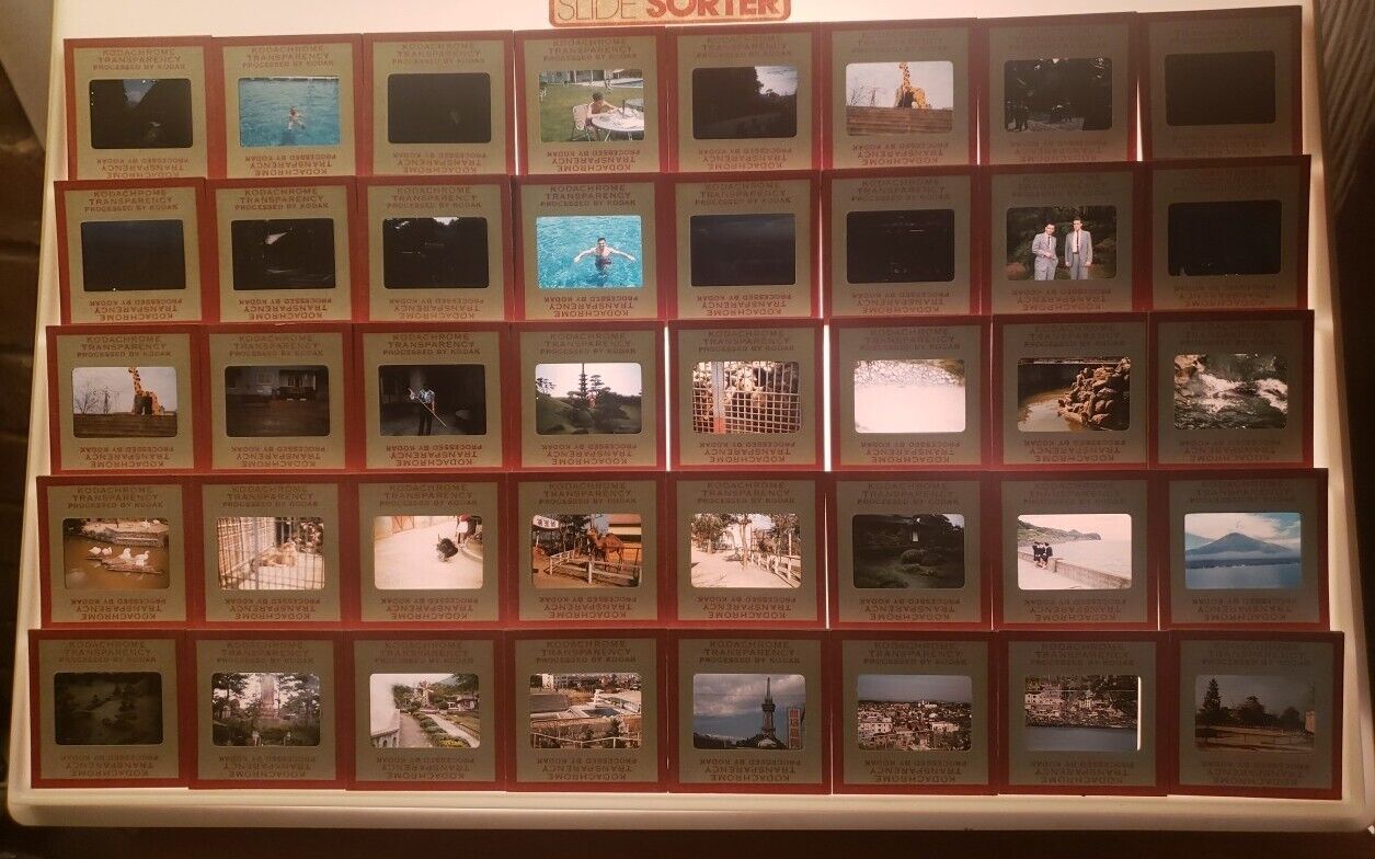 Lot X40 35mm Kodachrome Transparency Red Border Slides - Japan Panda Bear Kodak
