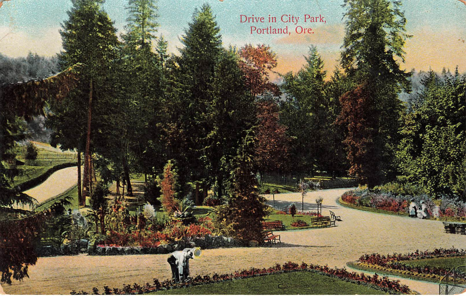 DRIVE IN CITY PARK SCENIC VIEW POSTCARD PORTLAND OR OREGON 1907