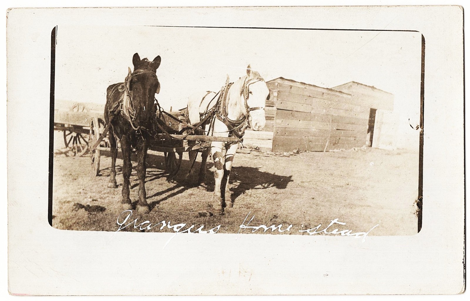 real photo Grangers Homestead pioneer West antique postcard RPPC real photo Grangers Homestead pioneer West antique postcard RPPC