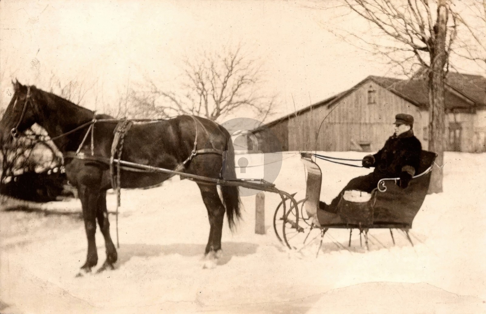 Man in a Horse Drawn Sleigh Mannsville New York NY RPPC Photo Postcard COPY