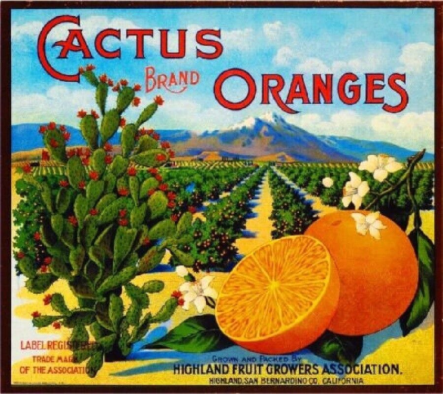 Cactus Brand Oranges Highland California Citrus Fruit Crate Label Art Print