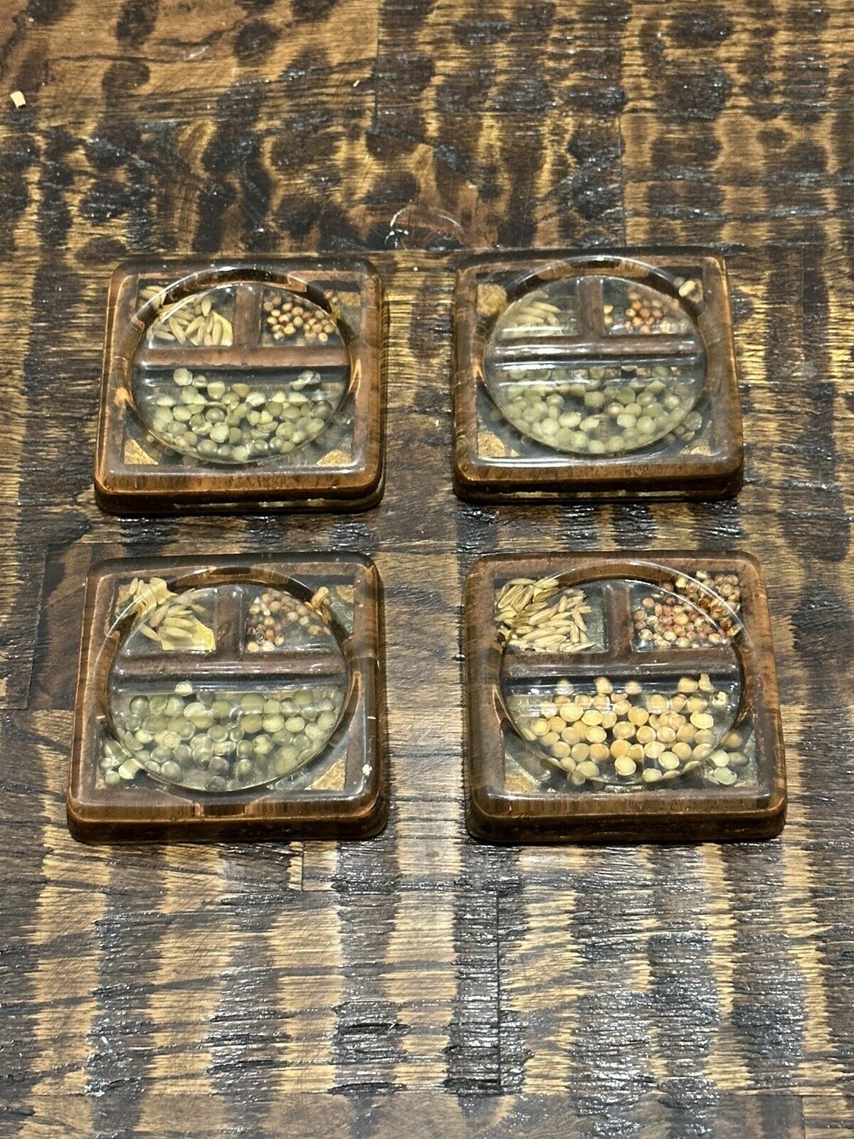 Lot of 4 Vintage Gamut Designs Lucite Acrylic Resin Dried Seeds Coasters 70s