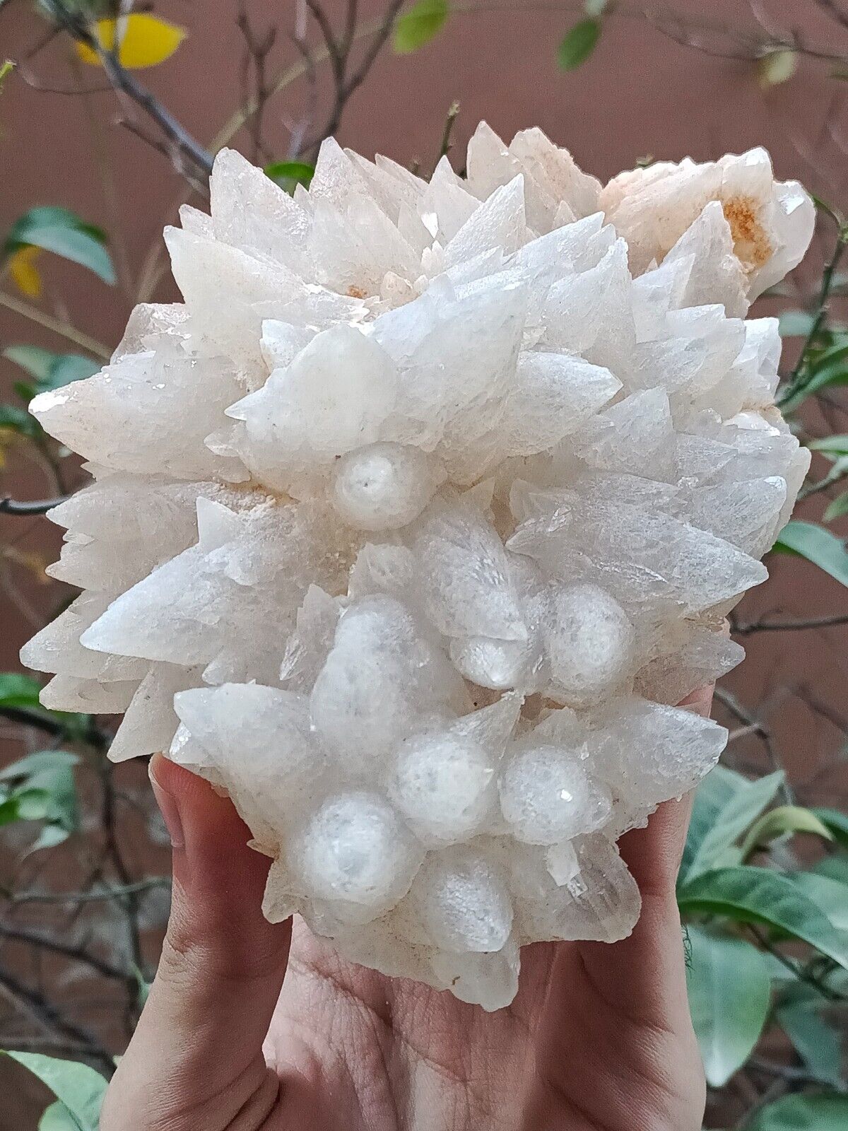 860g Natural Gemstone White Dog Tooth Calcite Cluster Mineral Specimen Crystal