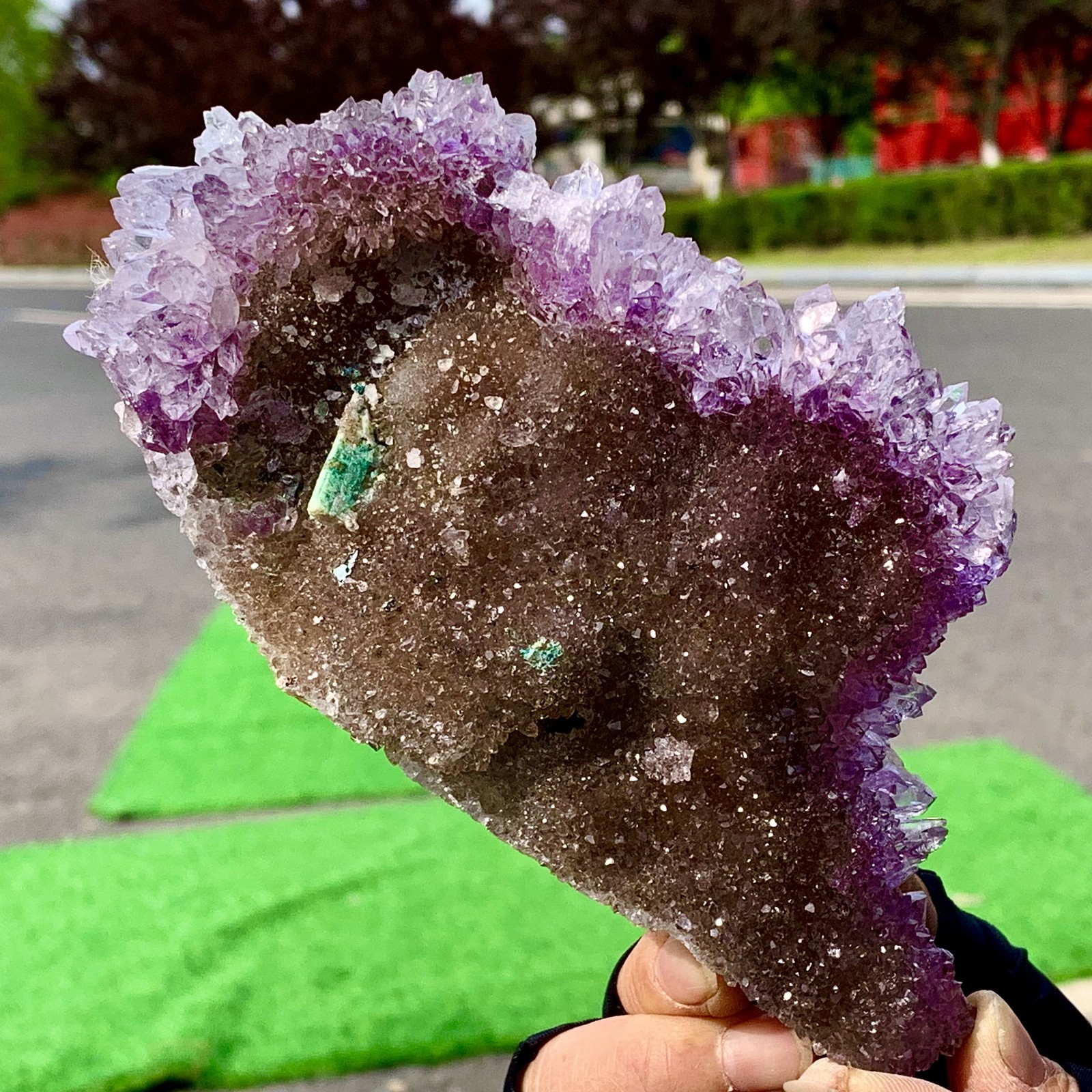 382G Natural Vision Amethyst quartz cluster crystal druzy mineral specimen