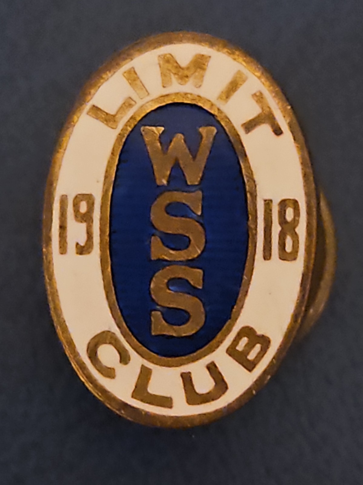 Rare WWI 1918 WSS Limit Club Enamel Pin Badge Screwback War Savings Stamps