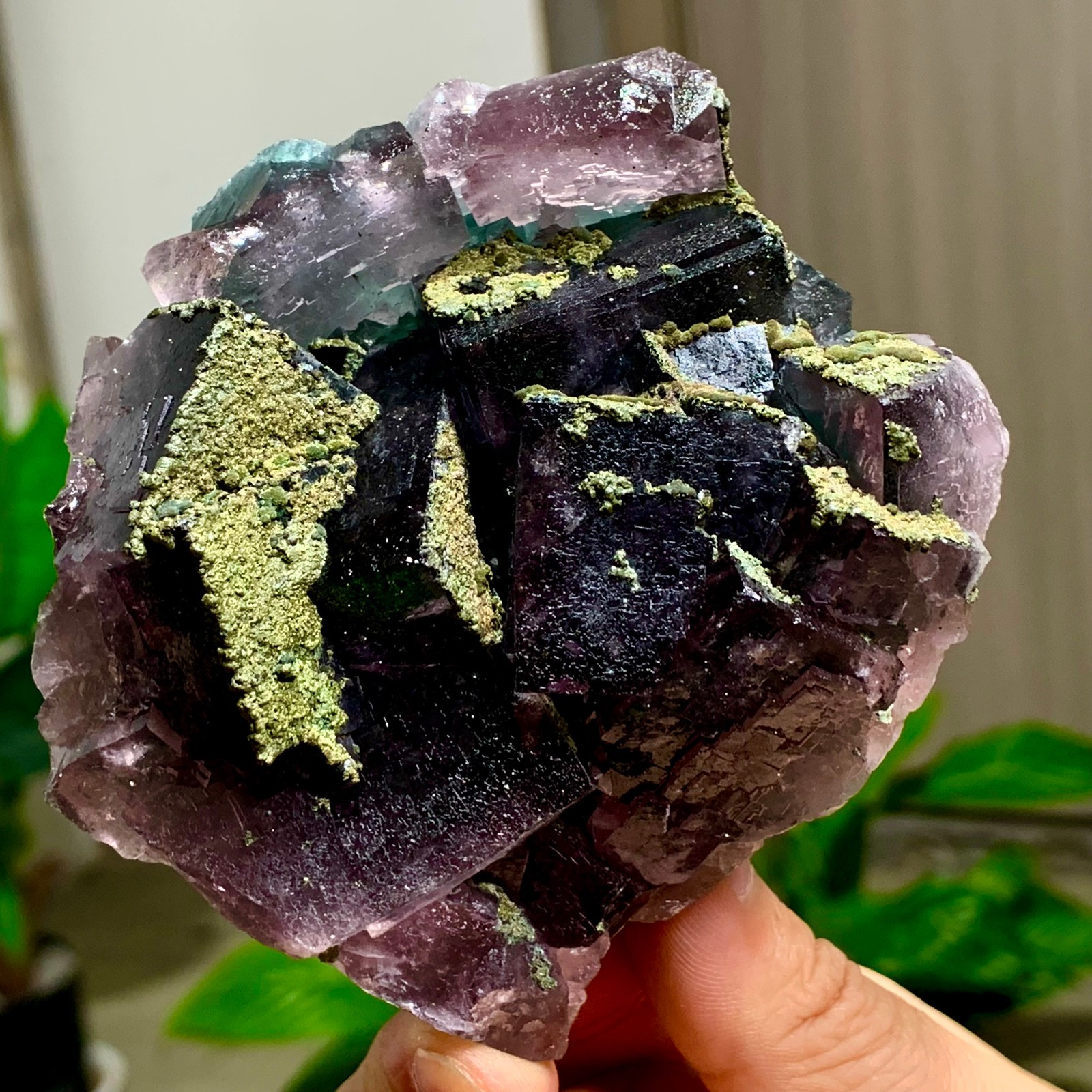 401G Natural green purple Fluorite with pyrite Mineral Crystal Specimen/China