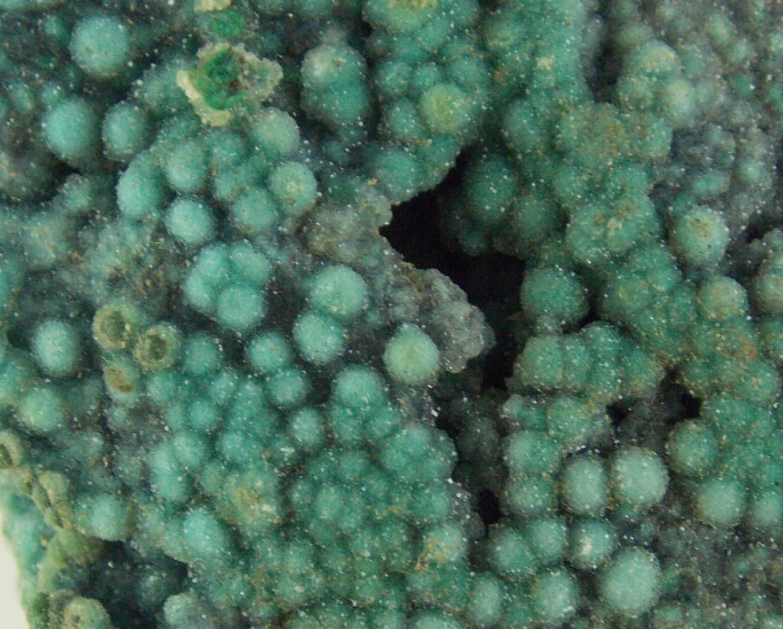 DRUSY QUARTZ CRYSTALS on CHRYSOCOLLA - 5 cm - INCA DE ORO, CHILE 30500