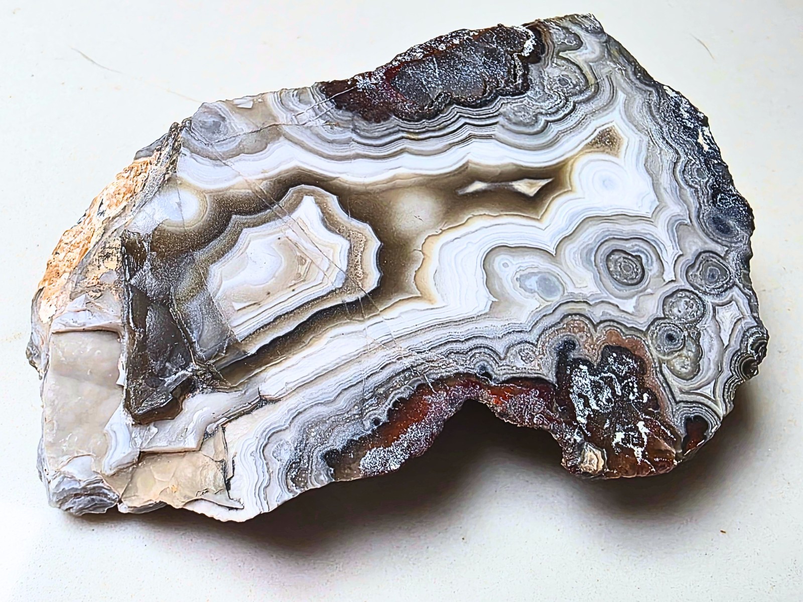 Face Polished Agua Nueva Agate 6.69  OZ -5 inch Stand Included Fortification