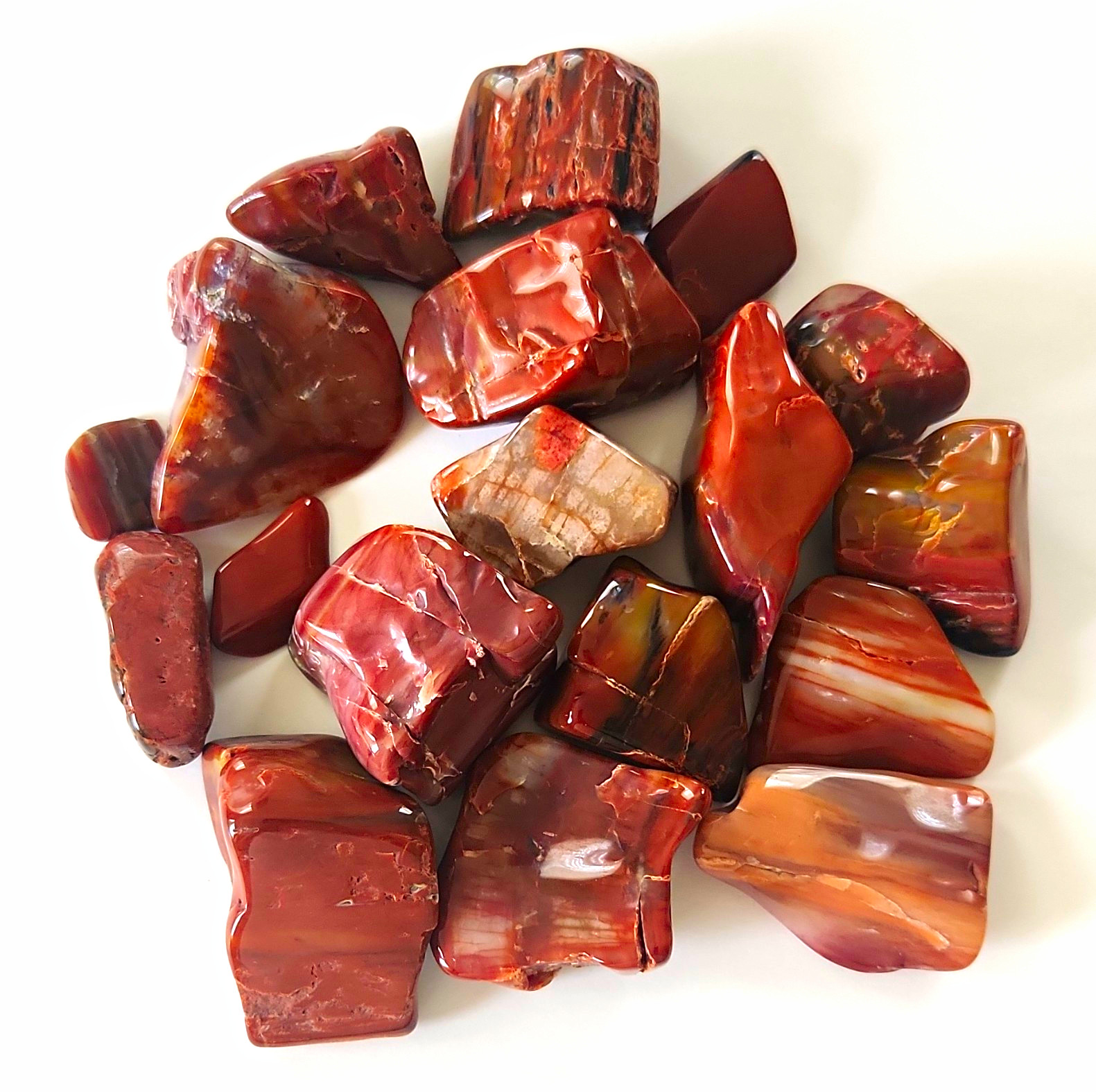 Petrified Wood Tumbled Holbrook Arizona 3 Pounds 