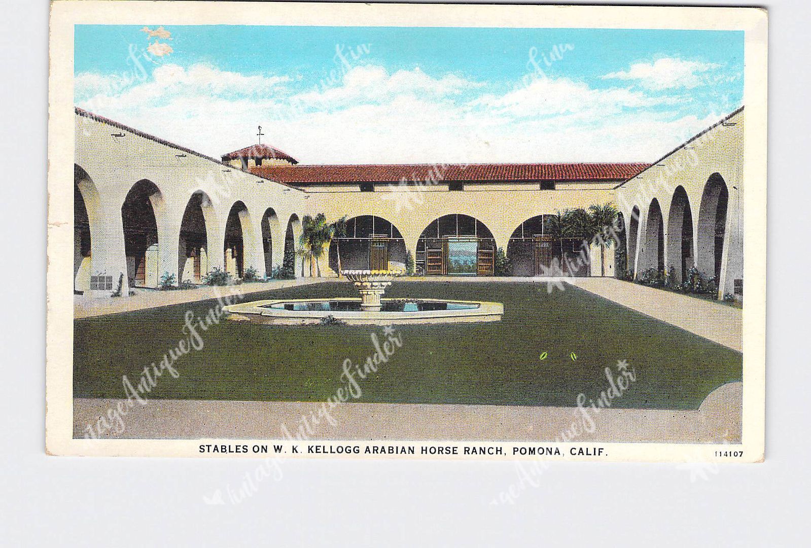 PPC Postcard CA California Pamona Stables On Kellogg Arabian Horse Ranch #2