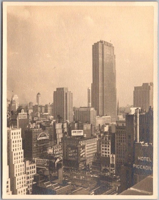 TIMES SQUARE / New York City Snapshot 3.5