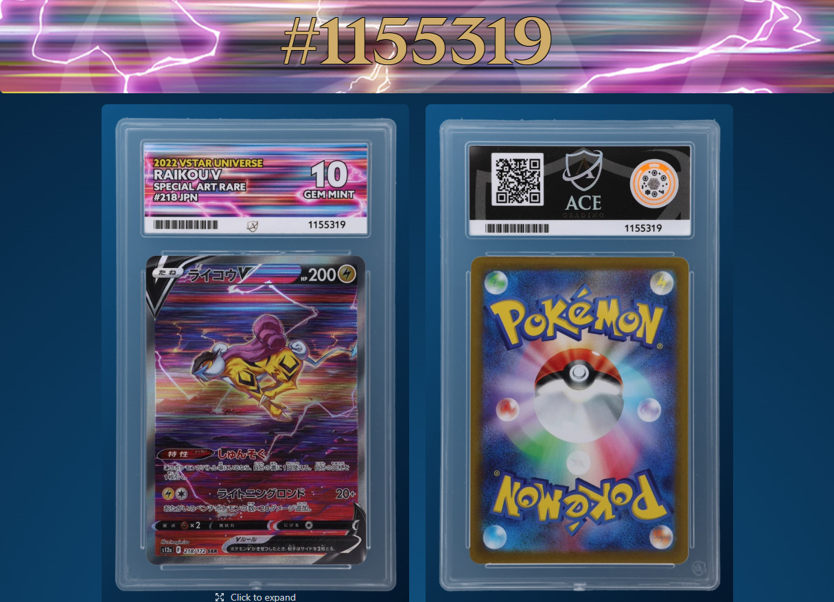 2022 Pokemon Japanese Raikou V Special Art Rare 218 VSTAR Universe ACE Gem 10