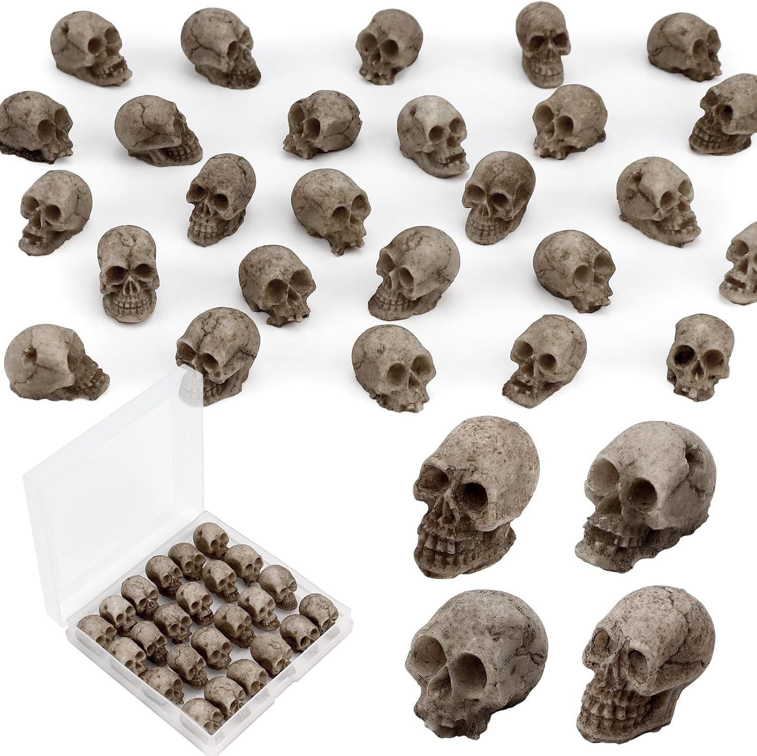 24 PCS Mini Skull Heads, Miniature Skeleton Heads Figurines, Tiny Resin Skulls 24 PCS Mini Skull Heads, Miniature Skeleton Heads Figurines, Tiny Resin Skulls