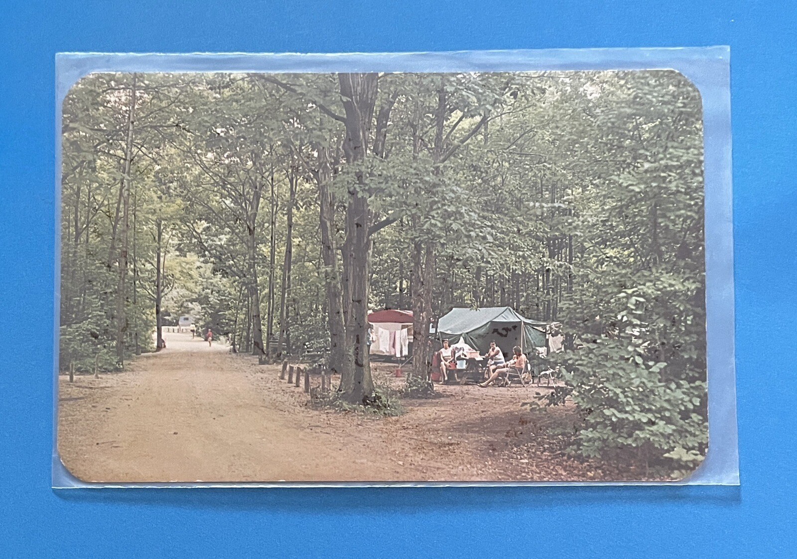 Warren Dunes State Park Sawyer Michigan Vintage Unposted Postcard UNUSED