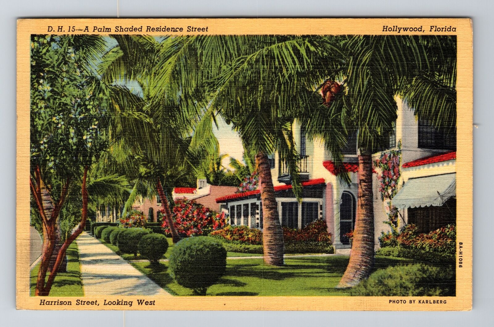 Hollywood FL-Florida, Palm Shaded Residence, Vintage Postcard