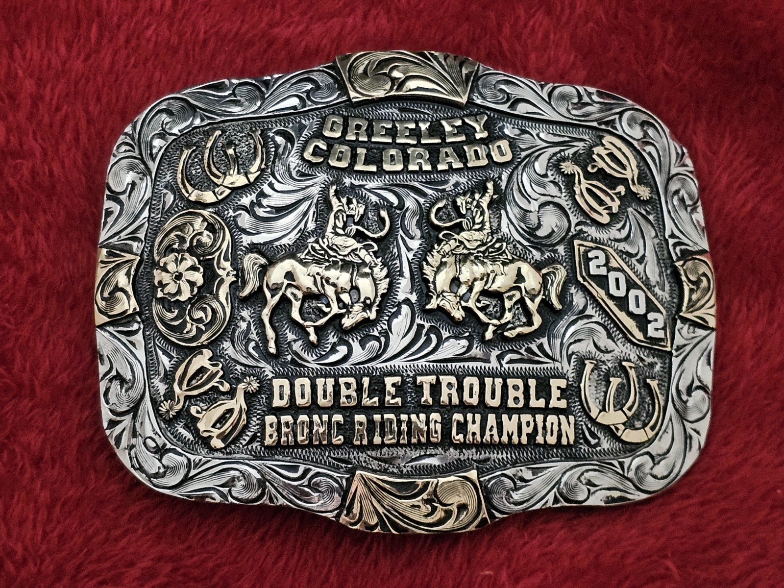Bronc Riding X~Treme☆2002☆ RODEO CHAMPION☆Greeley Colorado☆TROPHY BUCKLE☆RareX72