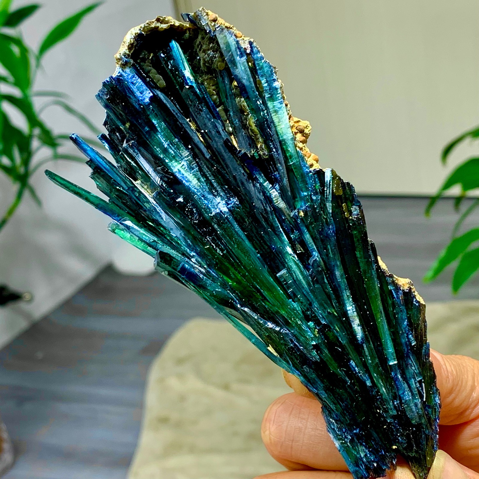 159 G Natural Vivianite ludlamite Quartz Crystal Mineral Samples /Brazil