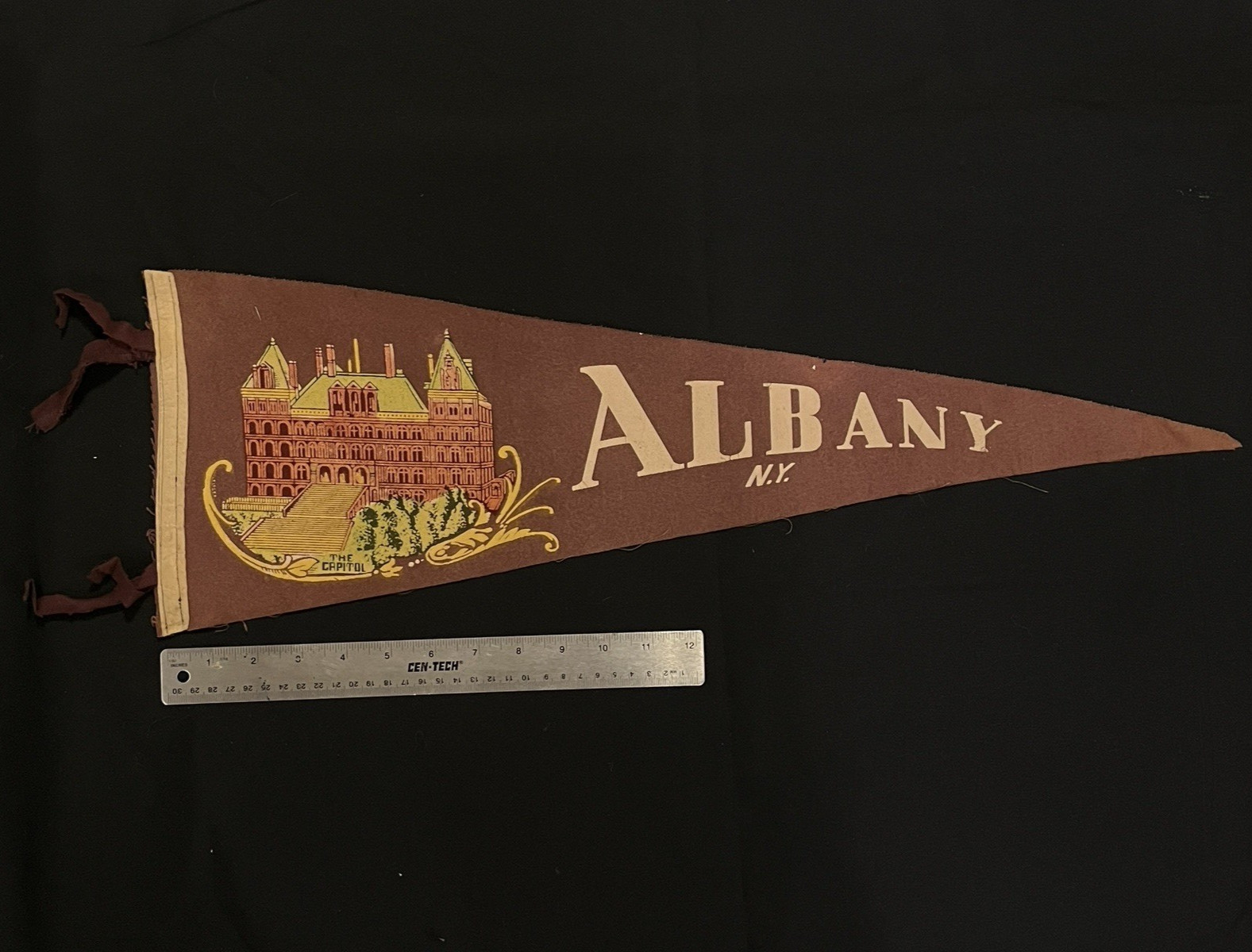Vintage Felt Pennant - Albany, New York