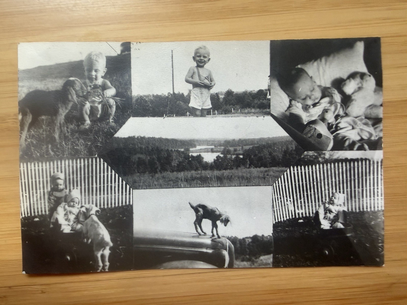 Unusual Vintage RPPC Azo Photo Collage Postcard Black & White Dog Kids Children