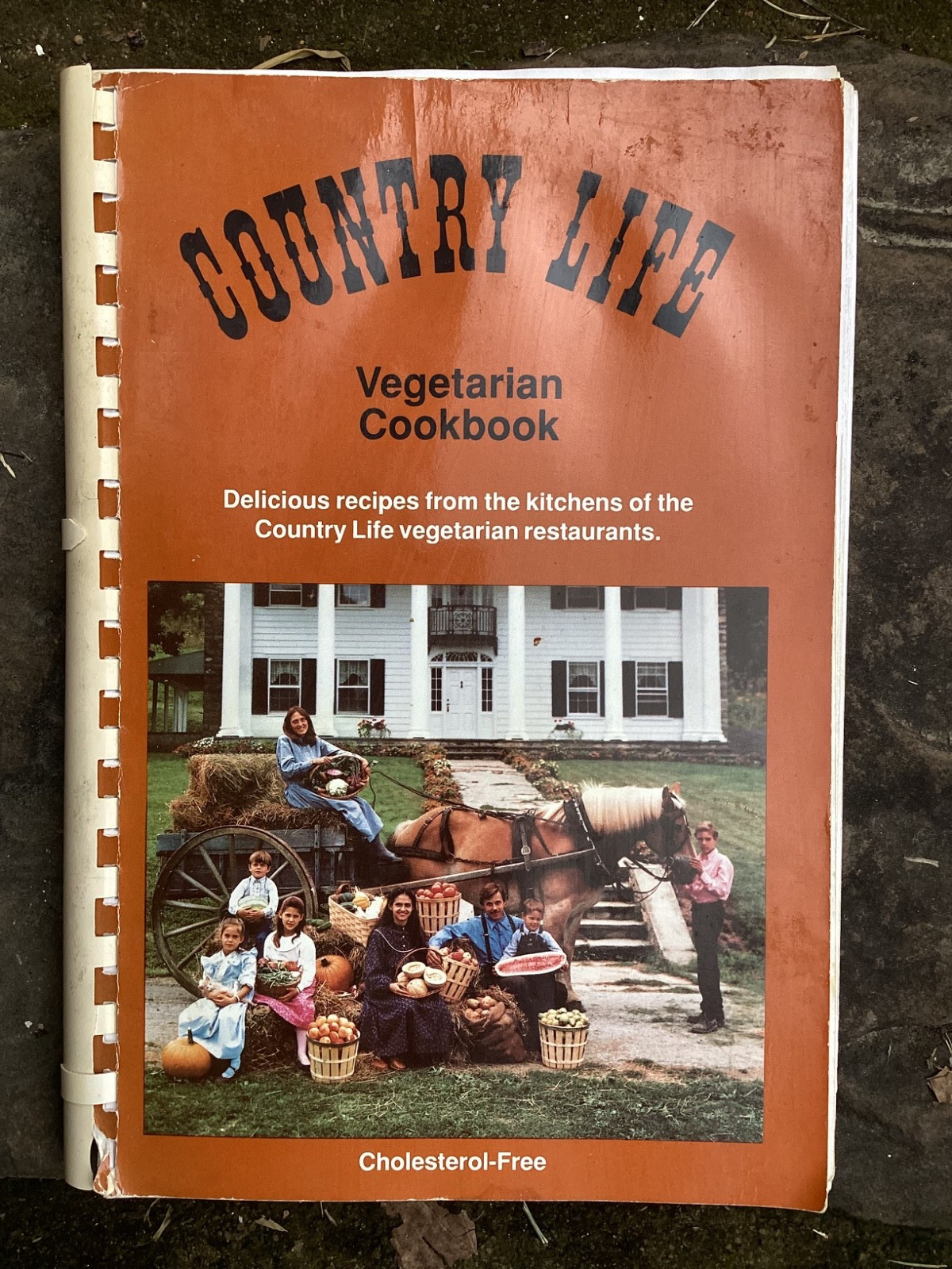 Vintage Original 1990 Country Life Vegetarian Restaurants Cookbook 188 pages Vintage Original 1990 Country Life Vegetarian Restaurants Cookbook 188 pages