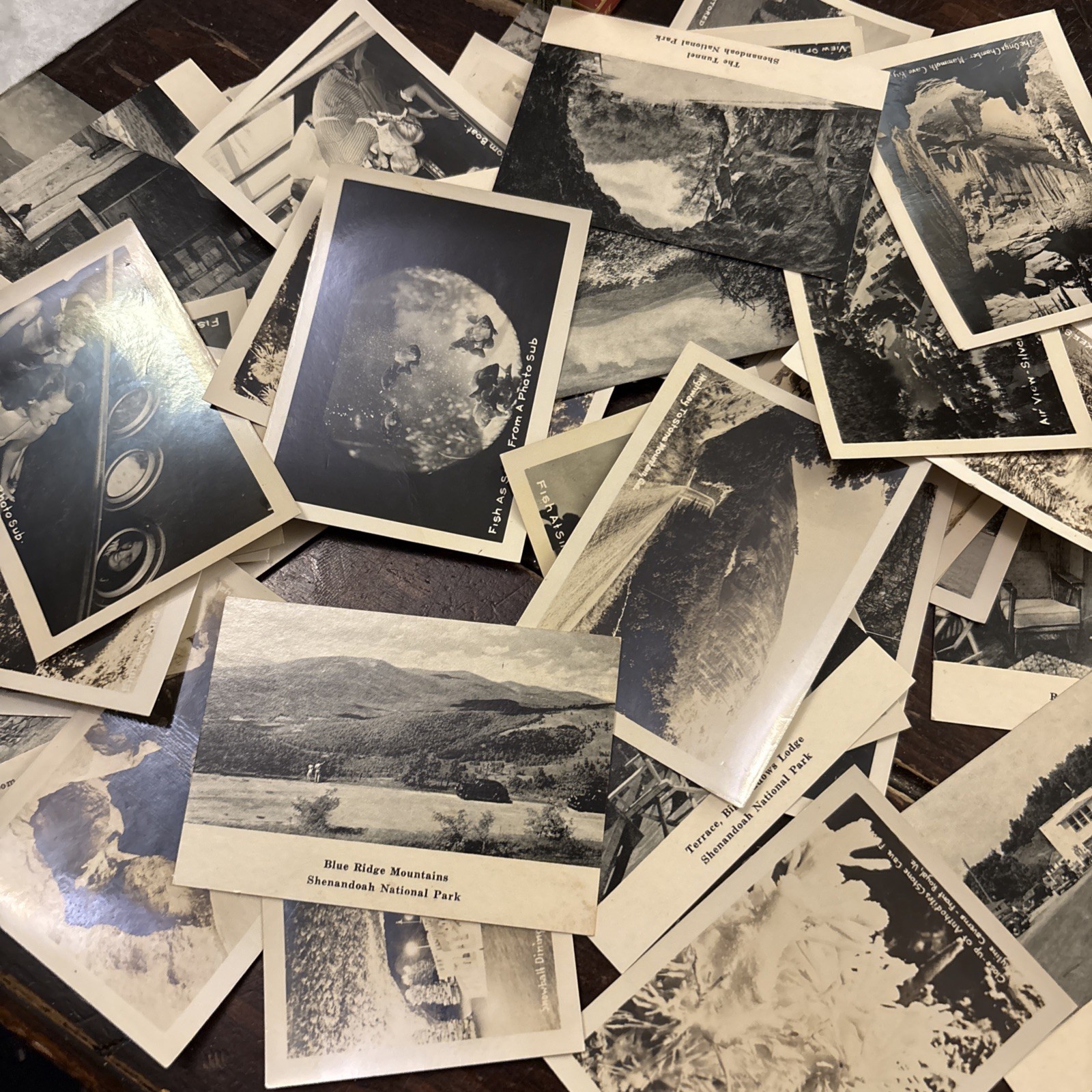 VTG 30+ Souvenir Cards Pocket Size Black White Photos