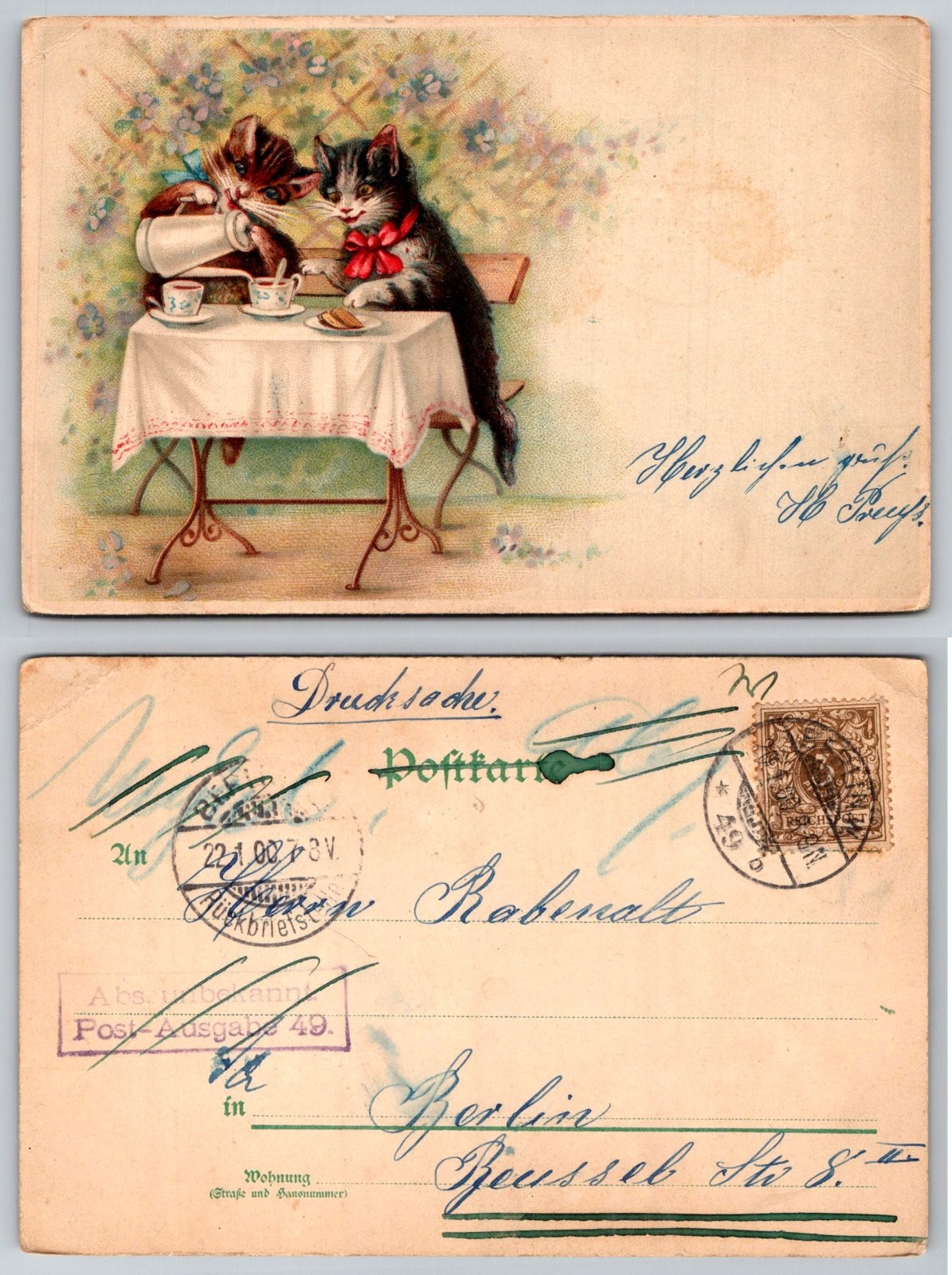 Dressed Cats Tea Party Animals Comic Postcard