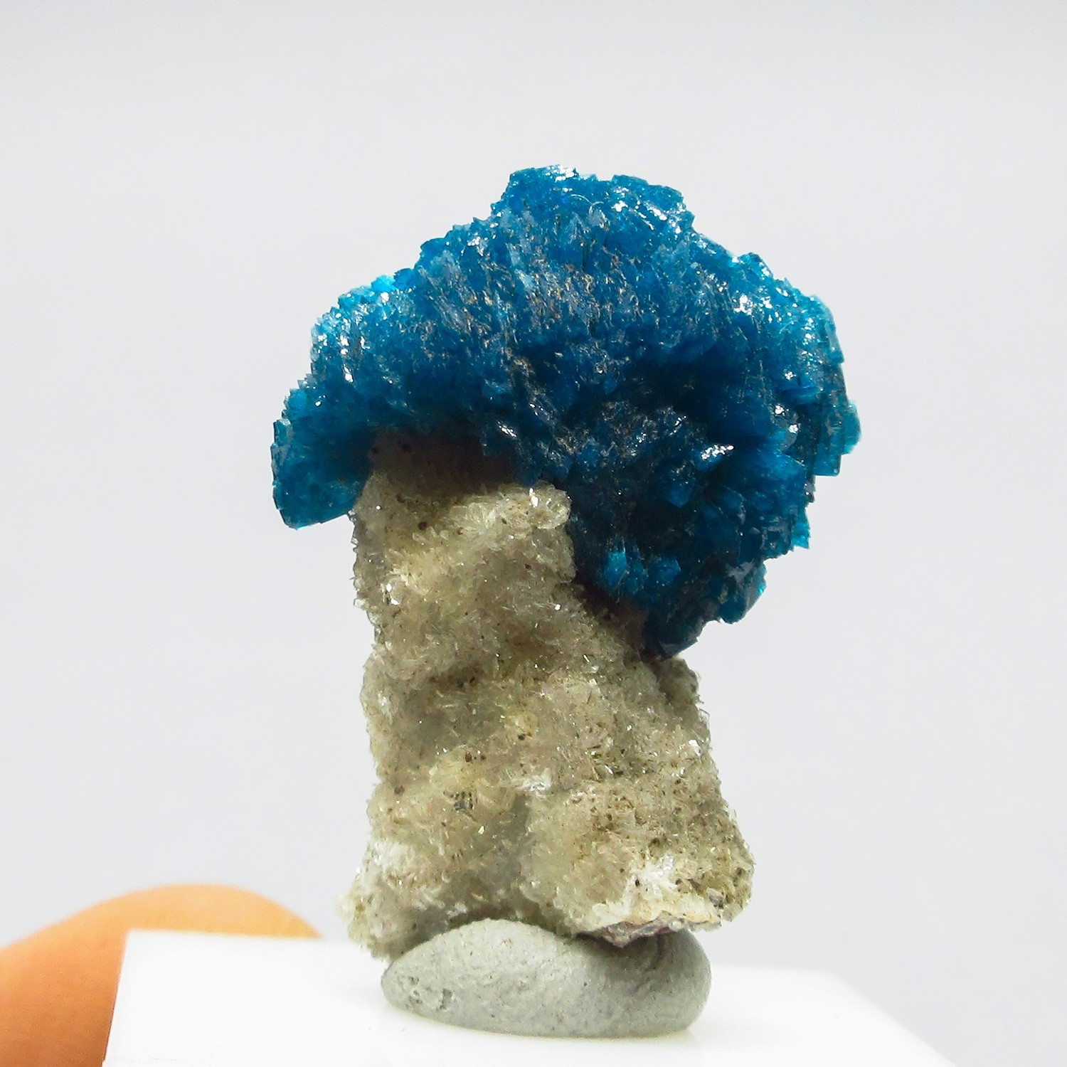 Big rosette of Cavansite on matrix  (non precious natural stone) # 4259