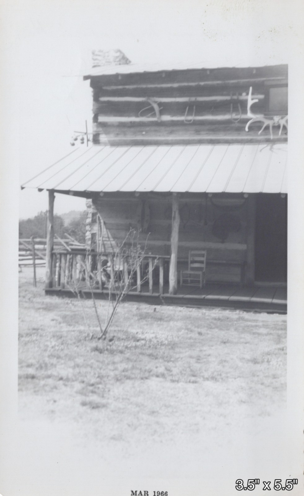 1966 Pioneer Log Cabin Deer Antlers Gainesville Georgia Mountain VINTAGE PHOTO